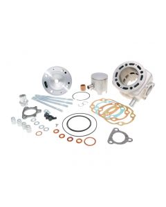Zylinderkit Polini Aluminium Racing Big Evolution 94ccm 52mm 13mm für Minarelli liegend LC