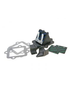 Membranblock Polini für Minarelli liegend, CPI, Keeway, 1E40QMB
