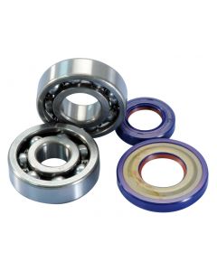Kurbelwellenlager Satz Polini 19mm für Vespa PK 50, 125, XL 50, 125, Primavera 125 ET3