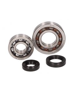 Kurbelwellenlagersatz für Aprilia Scarabeo, Piaggio Liberty, Zip, Vespa ET4 50 4T (1. Baureihe, 25mm Lagersitz)