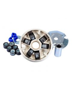 Variomatik Polini Hi-Speed für Malaguti F12 Digit Kat Euro 2 (fase 1) LC, F12 Phantom 2000 AC