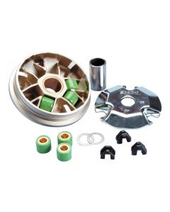 Variomatik Polini Hi-Speed für Aeon Cobra 90