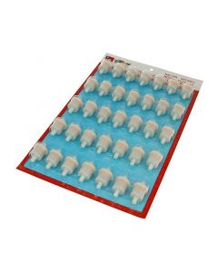 Benzinfilter 8mm High Quality Display 35 Stück
