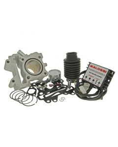 Zylinderkit Malossi I-Tech 66ccm 44mm für Yamaha 4T LC