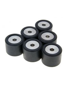 Variomatikgewichte Polini 20,6x17mm - 10,3g
