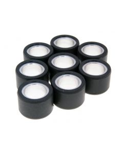 Variomatikgewichte Polini 25x17mm - 15,0g - 8Stk