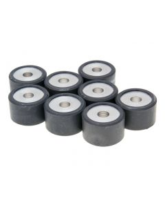 Variomatikgewichte Polini 25x16mm - 15,0g - 8Stk