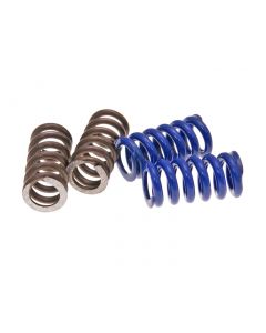 Kupplungsfedern für Polini Speed Clutch 2G EVO2, 2 Paar