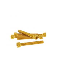 Schraubensatz 6 Stück Innensechskant Alu gold - M6x45