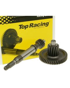 Getriebe primär Top Racing +17% 18/50 für Kymco, China 50 4T