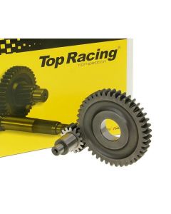 Getriebe sekundär Top Racing +21% 15/42 für CPI, Keeway