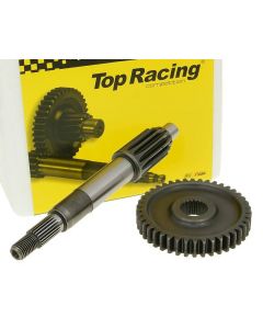 Getriebe primär Top Racing 13/42 für Honda X8R, SGX