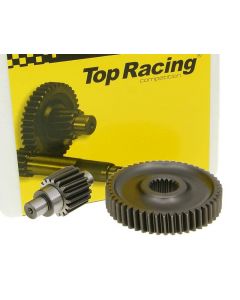 Getriebe sekundär Top Racing +18% 17/49 für China, Kymco 4T