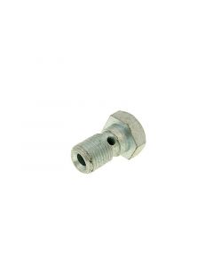 Hohlschraube Bremsleitung M10x1,0 für AJP, Brembo Bremssattel
