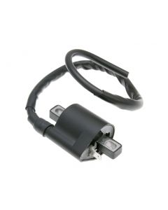 Zündspule 1 Pin