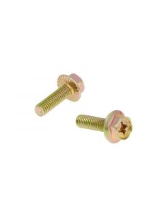 Auspuffschrauben Set M6x16 (2 Stück)