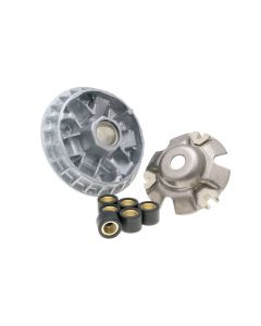 Variomatik für Kymco KXR, MXU, Maxxer 250/300, Dink (B&W) 250, PGO Bugrider, Arctic Cat 250