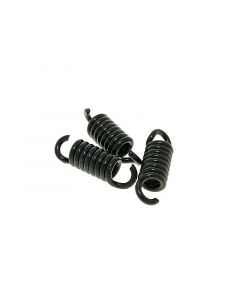 Kupplungsfedern Malossi MHR Maxi Delta Clutch schwarz 2,5mm Racing für Runner 125, 180ccm 2T