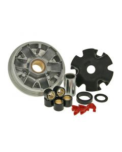 Variomatik Malossi Multivar für Honda Zoomer 50 NPS50