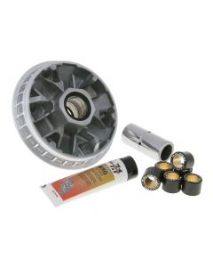 Variomatik Malossi Multivar 2000 für Honda Forza X 250 -2007 (MF08)