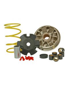 Variomatik Malossi Multivar für Honda