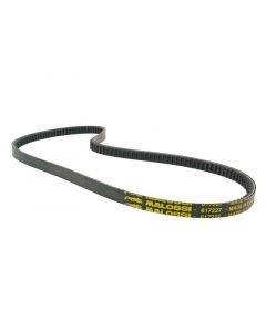Keilriemen Malossi X Special Belt für Piaggio, Vespa Ciao, PX50 mit Variomatik