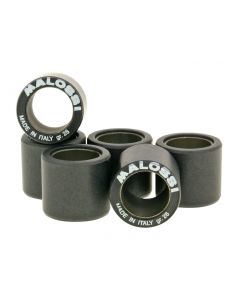 Variomatikgewichte Malossi HT 25x22,2mm - 28,0g für Atlantic, Scarabeo, Spidermax 500 -2004