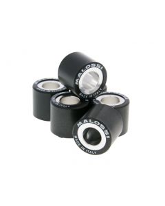 Variomatikgewichte Malossi HT 19x17mm - 7,4g