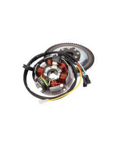 Lichtmaschine Stator und Rotor OEM für Minarelli AM E-Starter