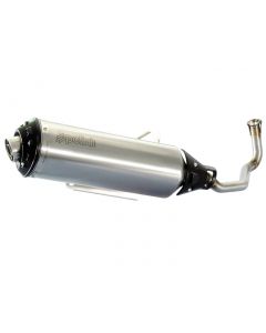 Auspuff Polini mit Katalysator für Honda PCX 125, 150 12-14