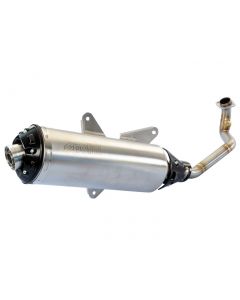 Auspuff Polini für Piaggio Beverly 250 / 300, Peugeot Geopolis 300ie