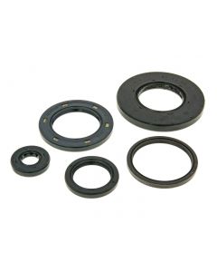 Wellendichtringsatz Motor für Honda SH 300