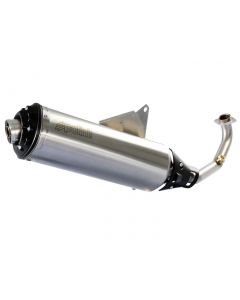 Auspuff Polini mit Katalysator für Piaggio MP3 Yourban 300 ERL 11-14