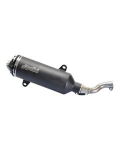 Auspuff Polini für Yamaha X-Max 250 09-14