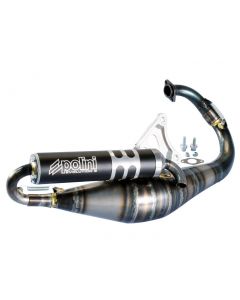Auspuff Polini Evolution 2 für Minarelli stehend