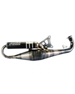 Auspuff Polini Racing Big Evolution 94ccm TWD für Minarelli liegend LC