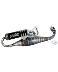 Auspuff Polini Racing Big Evolution Limited Edition TWD Yamaha LC 70ccm