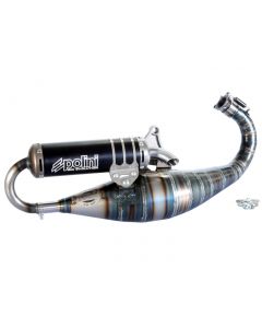 Auspuff Polini Racing Big Evolution Limited Edition TWD Piaggio 94ccm 2-Takt