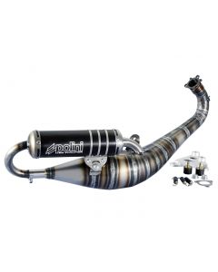 Auspuff Polini Racing Big Evolution Limited Edition TWD Yamaha LC 94ccm