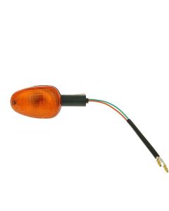 Blinker hinten links für Malaguti F12 (01-)